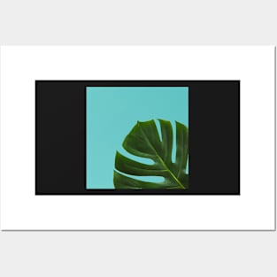 Monstera Leaf on sky ocean blue Background- Tropical Plant Vibe Posters and Art